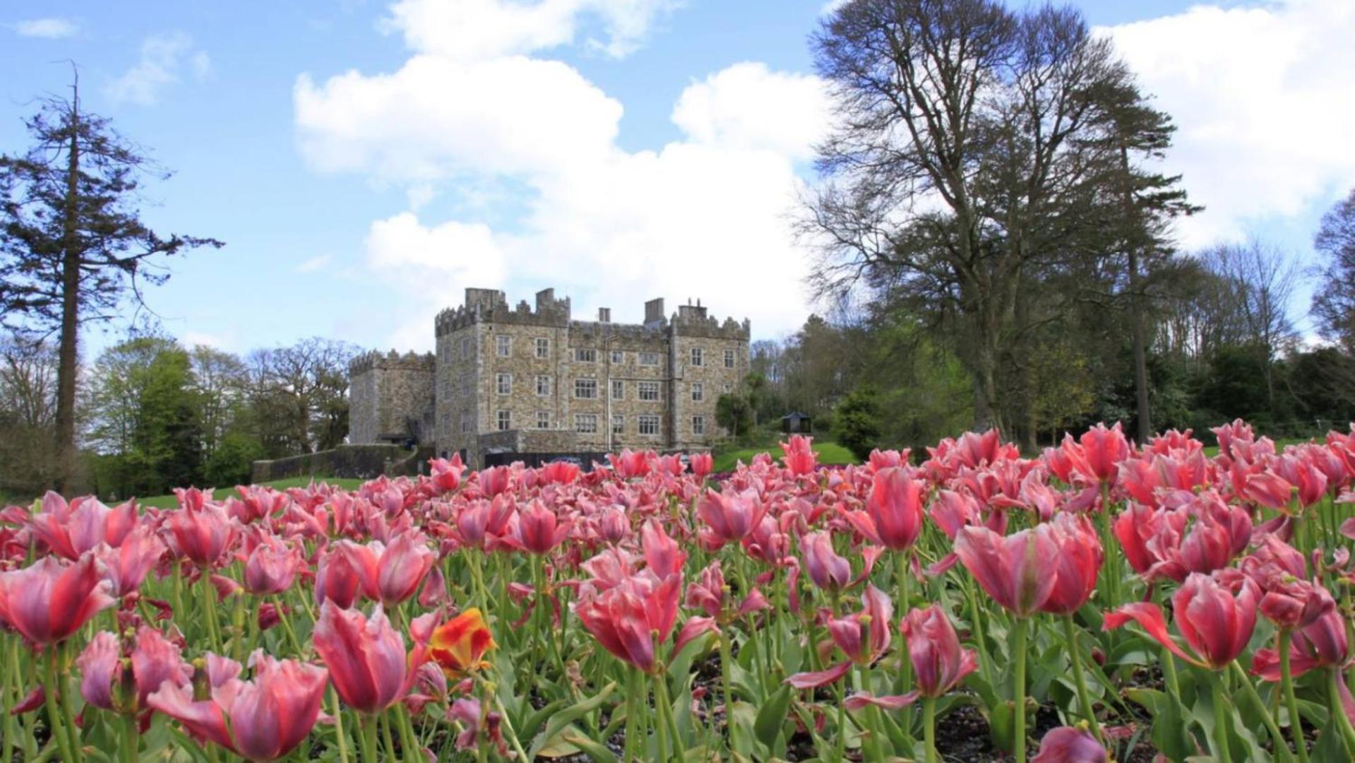 Waterford Castle Hotel Lodges ภายนอก รูปภาพ